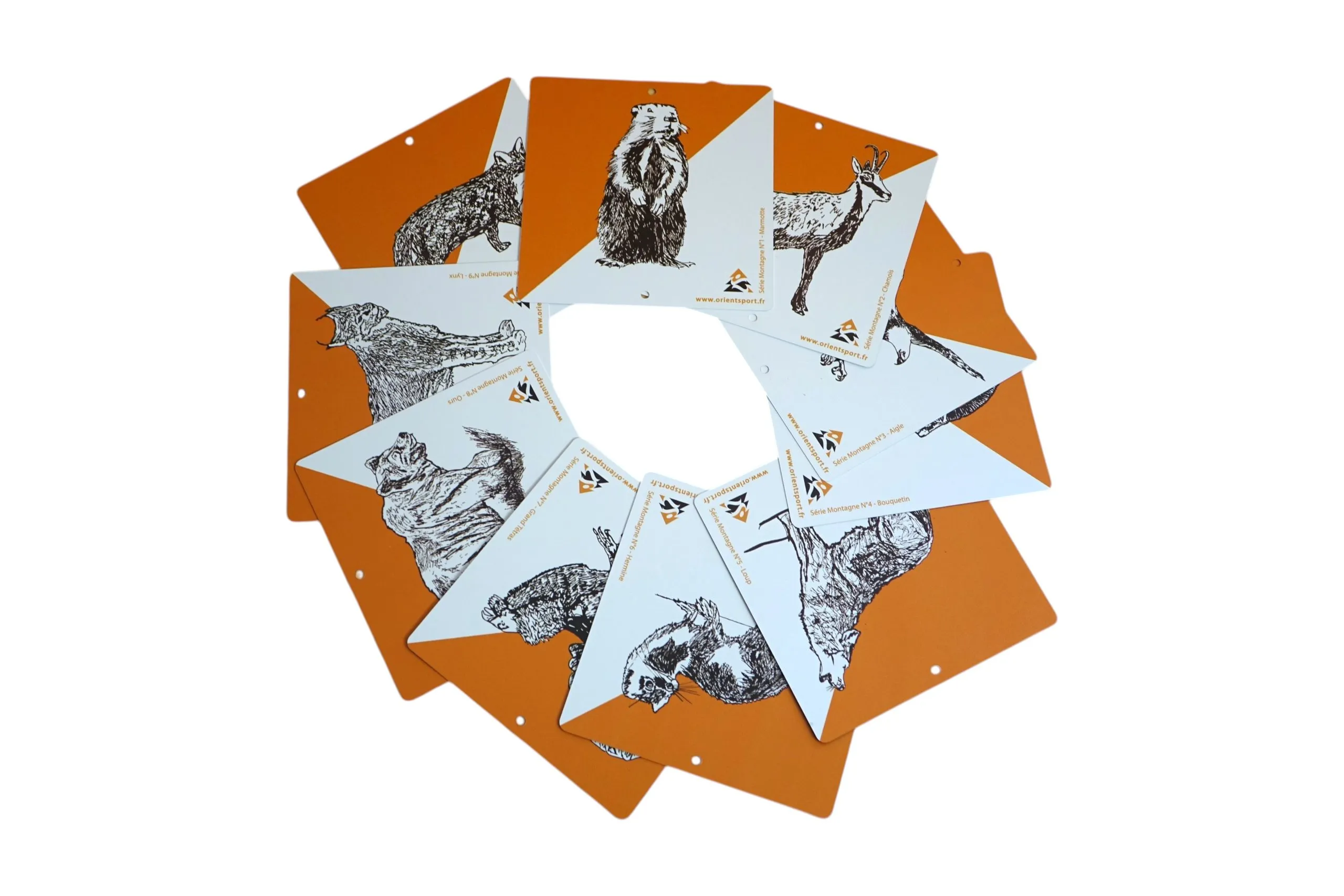 10 balises animaux « Montagne » – Orientsport